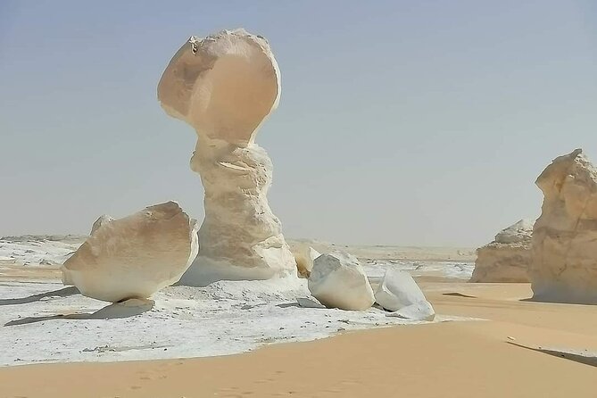 2 Days White Desert And Bahariya Oasis Tour - Customer Reviews