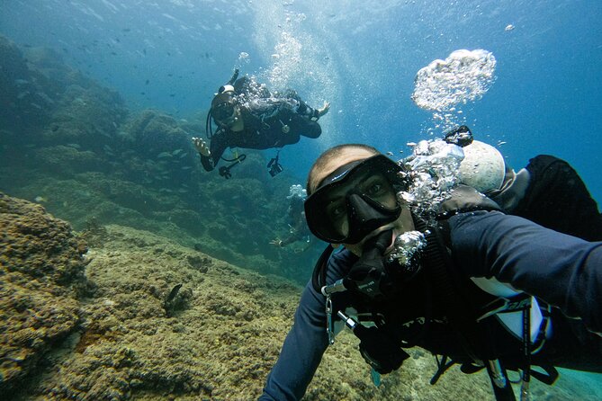 2 Dives for Certified Divers in Fujairah With Lunch & Transfer - Positive Guest Feedback