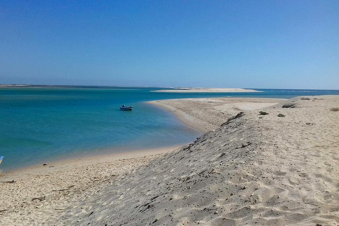 2-Hour Bird Watching Guided Boat Trip in Ria Formosa From Faro Algarve - Inclusions and Exclusions of the Tour