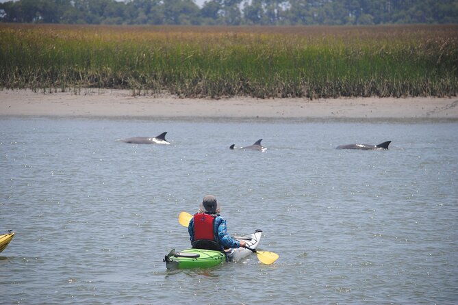 2-Hour Guided Kayak Eco Tour in Charleston - Booking Information