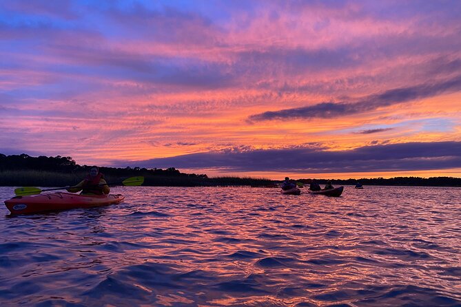 2-Hour Hilton Head Guided Kayak Nature Tour - Customer Feedback