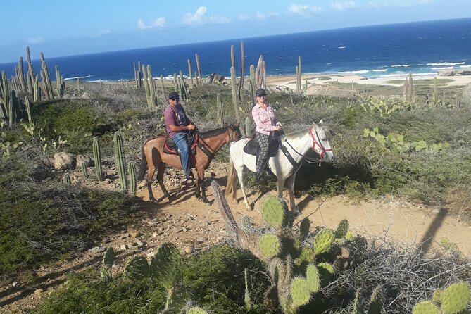 2-Hour Horseback Riding Tour to Little Natural Bridge in Aruba - Reviews and Ratings