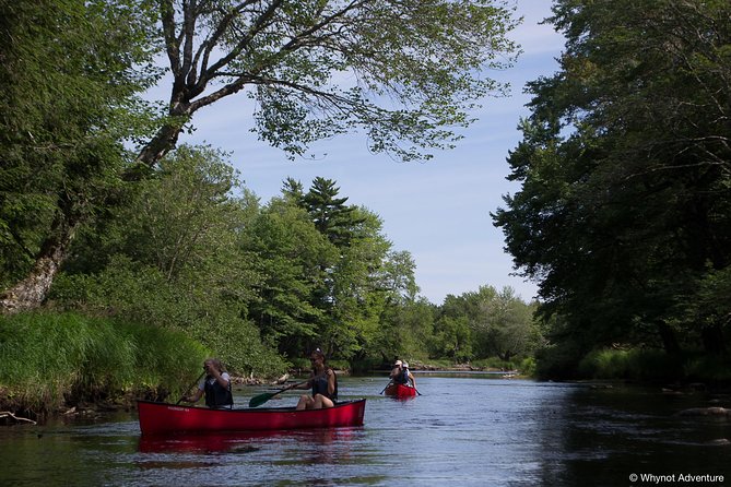 2 Hour Mersey River Quickie Adventure - Cancellation Policy