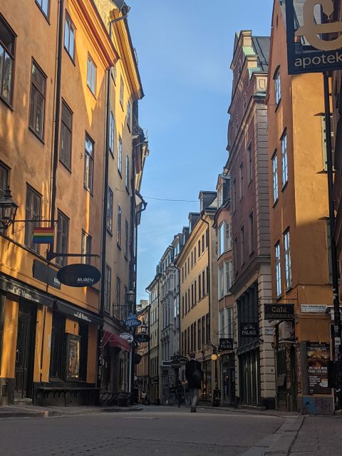 2-Hour Walking Tour in Stockholm - Riddarholmens History and Architecture