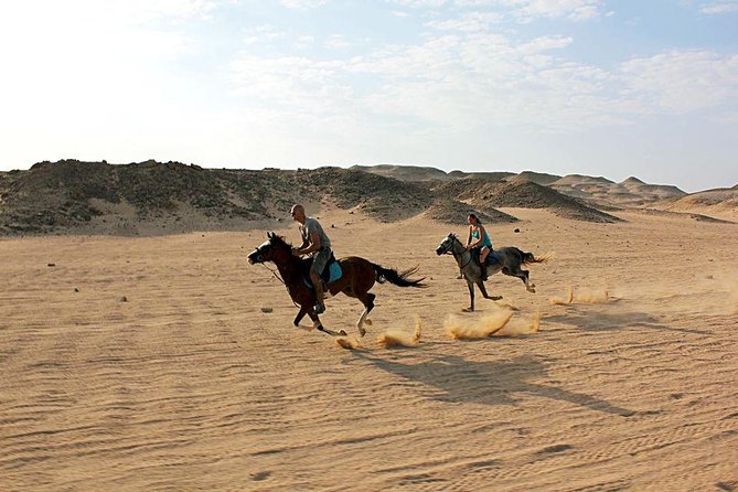 2 Hours Horse Riding 1H on the Sea and 1H in Desert From Hurghada - Group Size