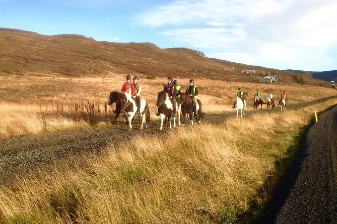 2 Hours Private Horse Riding to Lake Hafravatn, Reykjavík - Mos - Additional Tour Information