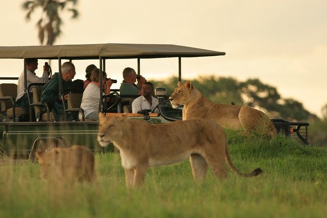 3-Day Chobe National Park Camping Safari From Victoria Falls - Wildlife Sightings