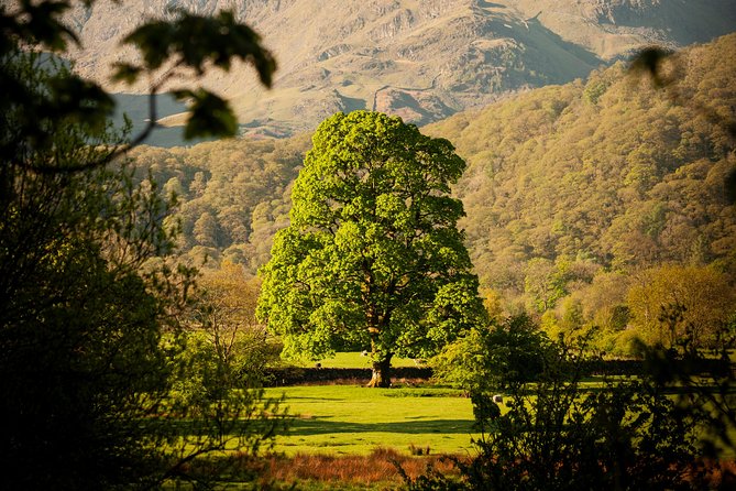 3-Day Lake District Explorer Small-Group Tour From Edinburgh - Included and Excluded