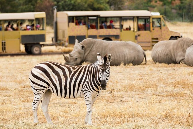 3-Day Maasai Mara Guided Safari From Nairobi - Exclusions and Additional Fees