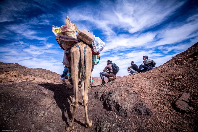 3-Day Small-Group Guided Hiking Expedition in the Sinai Desert - Inclusions and Logistics