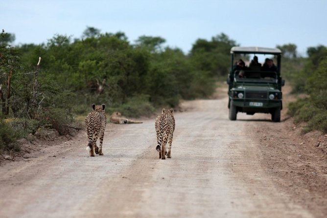 3 Days Budget Masai Mara Safari - Maasai Mara National Reserve