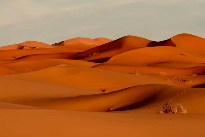 3 Days Excursion Into Merzouga Desert - Reviews and Ratings