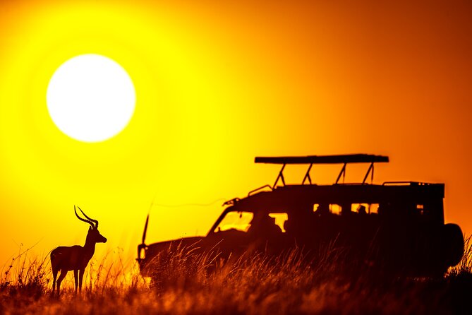 3 Days Masai Mara on Private 4x4 Land Cruiser - Suitability and Medical Considerations