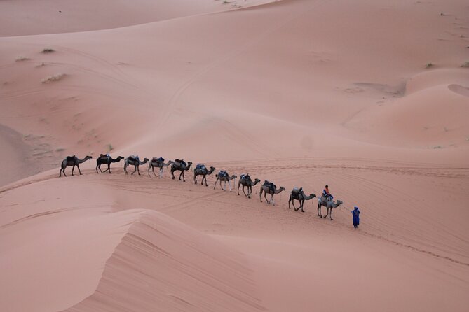 3-Days Morocco Desert Tour From Marrakech to Marzouga - Reviews and Ratings