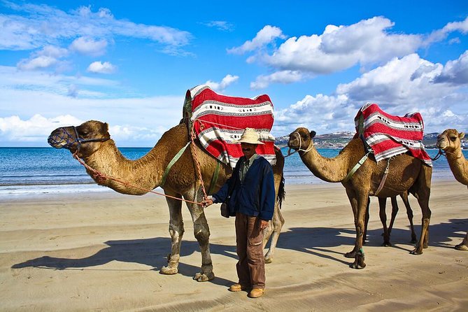 3 Days Morocco Private Tour From Tangier - Asilah Stroll