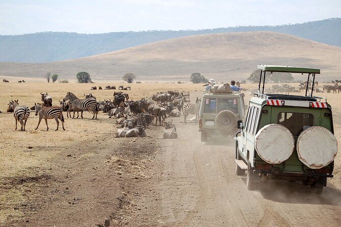 3 Days Ngorongoro & Serengeti Fly in Safari - Schedule