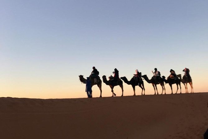 3 Days Safari To Merzouga From Marrakech - Reviews and Feedback