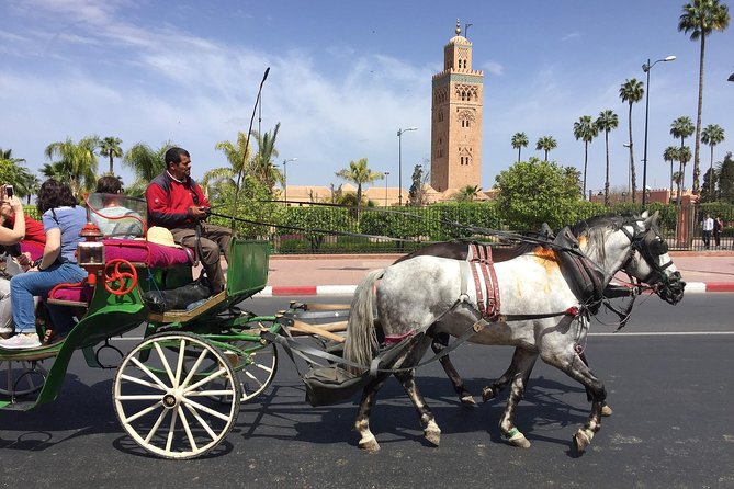 3 Days Tour From Marrakech to Merzouga Desert - Positive Customer Reviews