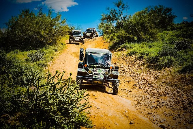 3 Hour Guided TomCar ATV Experience in Sonoran Desert - Highlights of the Tour