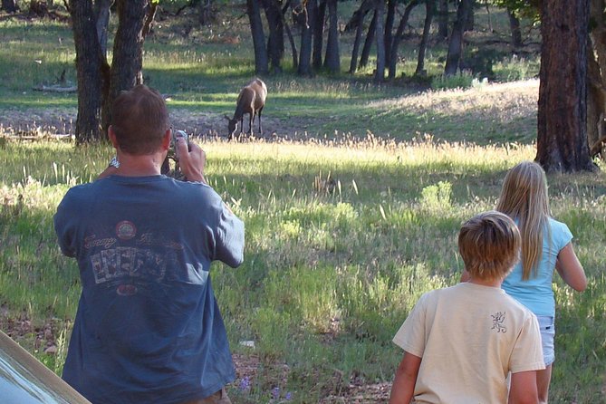 3 Hour Off-Road Sunset Safari to Grand Canyon With Entrance Gate Detour - Inclusions and Accessibility