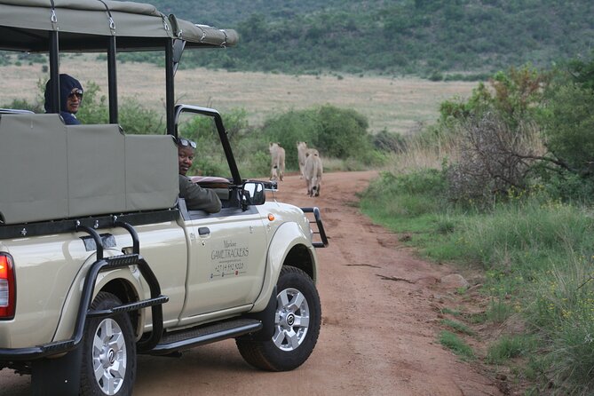 3-Hour Private Game Drive of Pilanesberg National Park - Additional Information and Policies