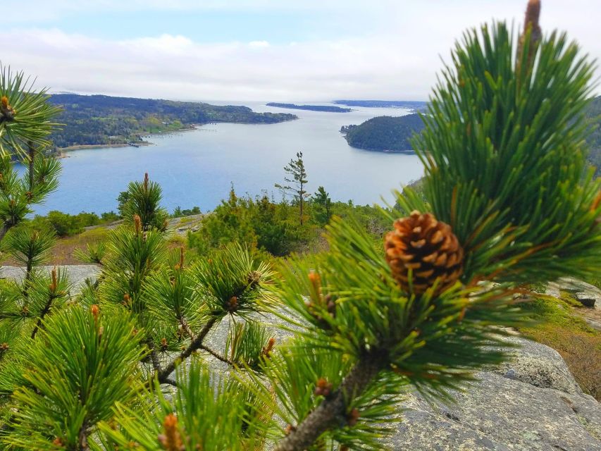 3 Hour Private Tour: Insiders Tour of Acadia National Park - Itinerary of the Tour