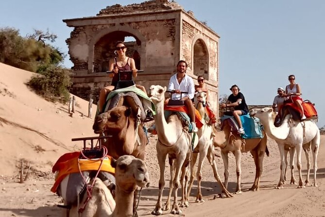 3 Hours Camel Ride in Essaouira, Beach and Dunes - Cancellation Policy