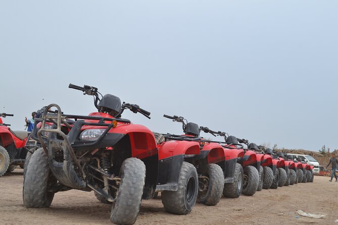 3 Hours Safari by ATV Quad Bike & Camel Ride Transfer to El Gouna - Booking and Confirmation