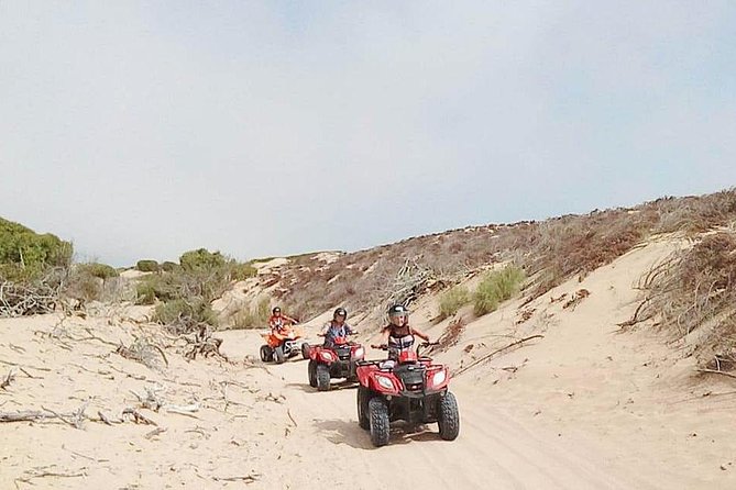 3h Quad Bike: Thrills in the Beach and Dunes - Discovering the Beach Landscape