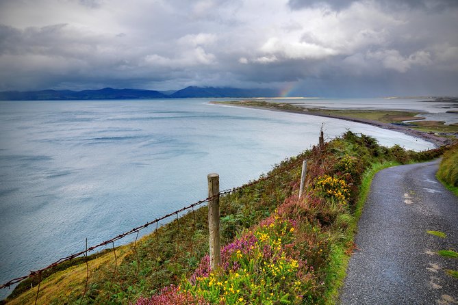 4-Day Cork, Ring of Kerry, Dingle, Cliffs of Moher and Galway Bay Rail Tour - Blarney Castle Visit