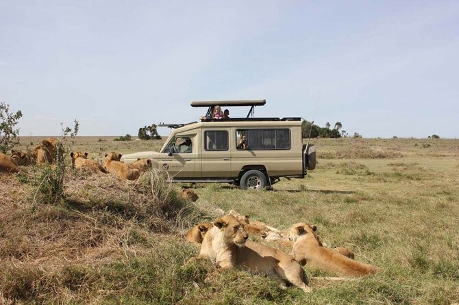 4 Day Great Migration Safari Serengeti & Ngorongoro Crater - Confirmation and Reviews