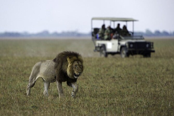 4-Day Manyara Serengeti and Ngorongoro Wonders Budget Safari Tour - Positive Reviews