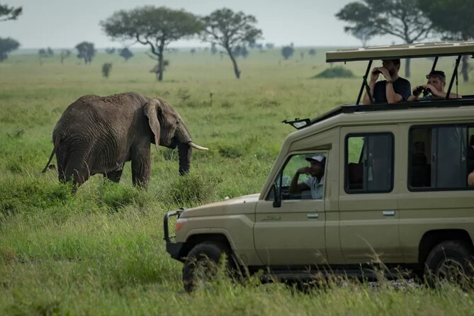 4 Day Ngorongoro Crater Tarangire and Serengeti National Park - Packing Essentials