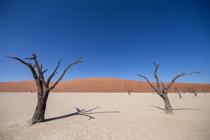 4-Day Swakopmund and Sossusvlei Accommodated Adventure From Windhoek - Tour Details