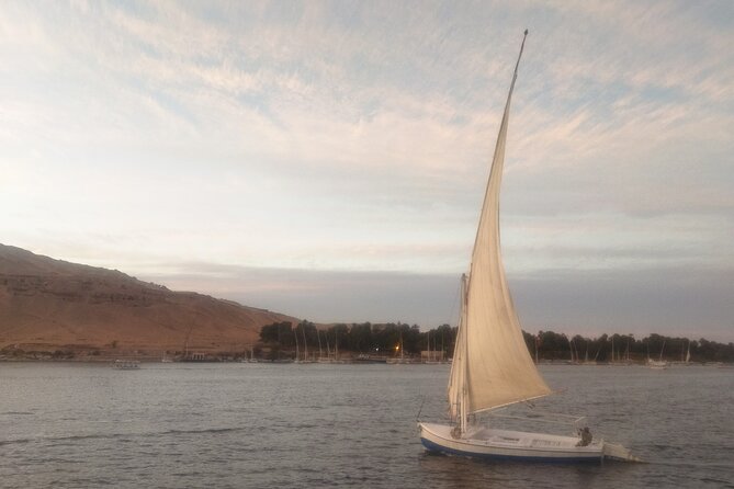 4 Days Nile Cruise, Aswan to Luxor With Abu Simbel & Hot Balloon - Accessibility Features