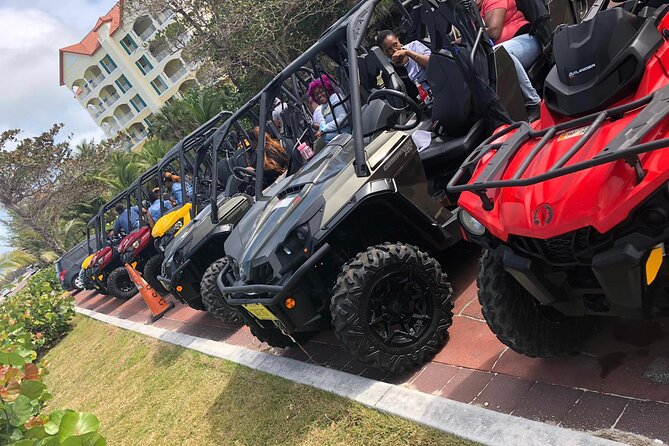 4-Hour Buggy Tour of New Providence (Inclusive of Water & Local Deserts) - Safety Considerations