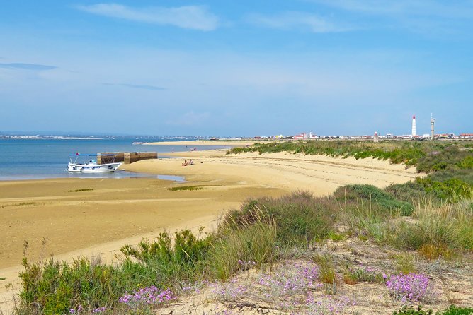 4-Hour Private Boat Tour in Ria Formosa - Inclusions and Meeting Details