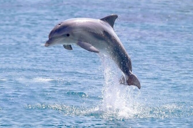 4 Hours Private Speed Boat Snorkeling With Dolphins Trip, Water Sport - Hurghada - Pickup Details