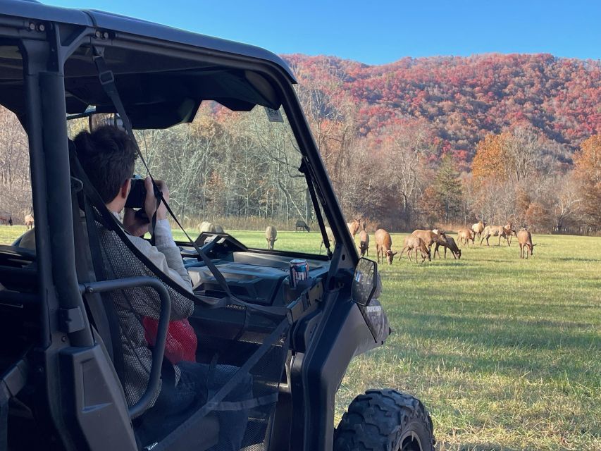 (4 HR) GUIDED Smoky Mountain UTV Eco Elk Adventure - Inclusions