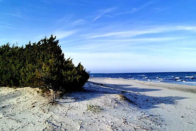 4 × 4 Excursion to the Beaches of Biderosa and Capo Comino - Group Size