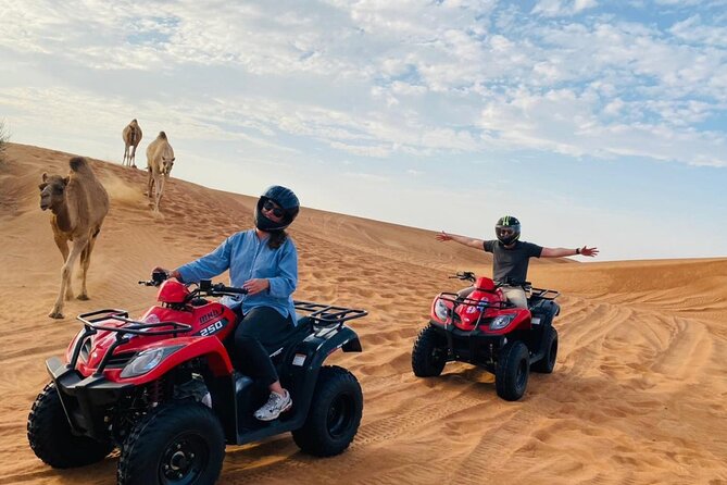 4X4 Dubai Desert Safari With BBQ Dinner, Camels & Live Show - Accessibility and Restrictions