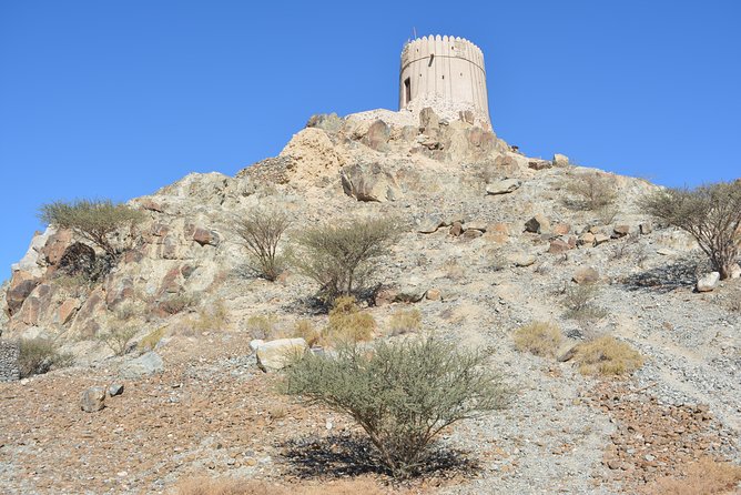 4x4 Hatta Safari to Fossil Rock & Honey Bee Garden Visit With Breakfast - Hatta Heritage Village