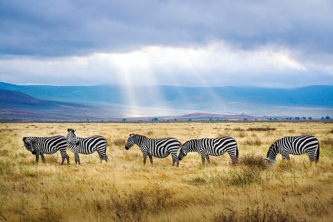 5-Day Majestic Tanzania Safari - High End All Inclusive - Park Fees and Inclusions