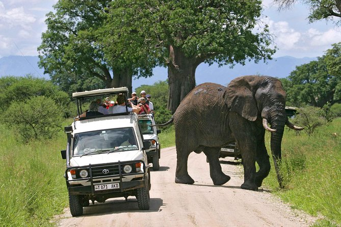 5 Days 4 Nights Tarangire, Serengeti , Ngorongoro & Manyara Wildlife Safari - Highlights of the Safari Itinerary