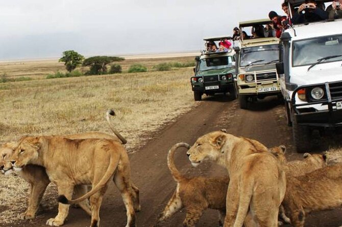 5 Days Safari in Tanzania | Camping and Lodge Safaris - Customer Reviews