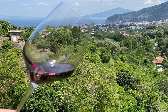 5 Wine Tastings With Typical Products in Sorrento Coast - Positive Reviews