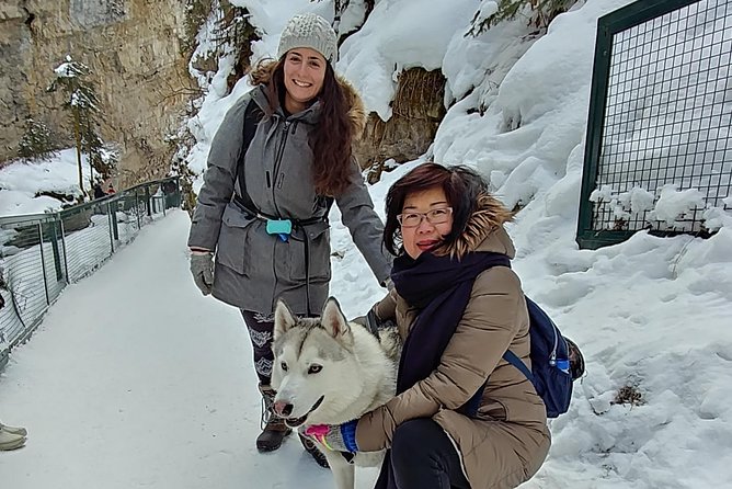 6 Day Canadian Rocky Mountains Explorer Private Tour - Sulphur Mountain Gondola