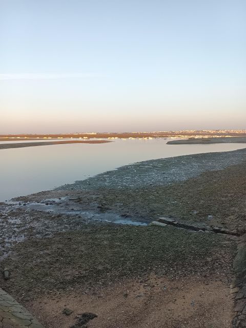 6 Hour Classic Boat Cruise, Ria Formosa Natural Park, Olhão. - Armona Island Exploration