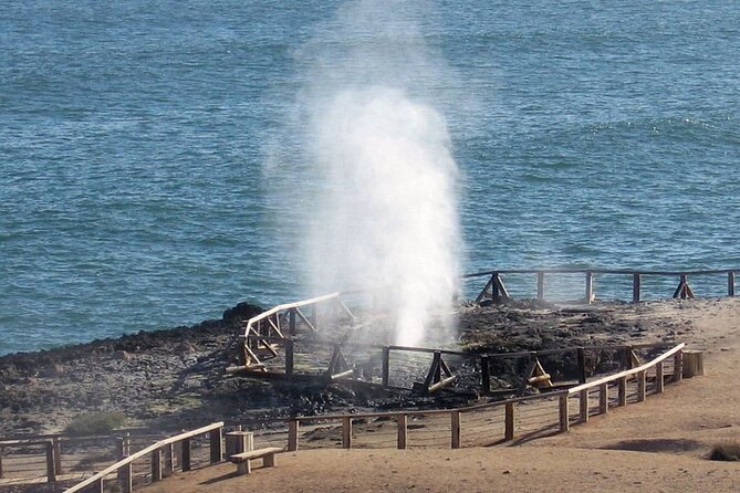 6 Hours Guided Salalah a Combination of East and West Tour - Customer Feedback: Experience