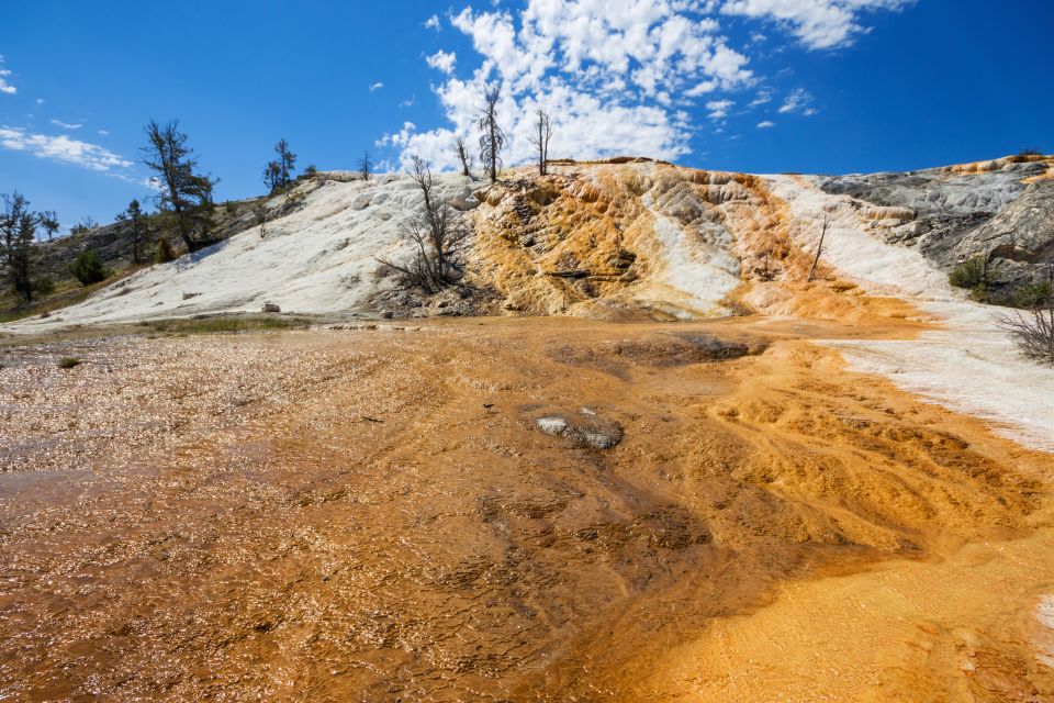 7-Day Yellowstone National Park Rocky Mountain Explorer - Wildlife Encounters